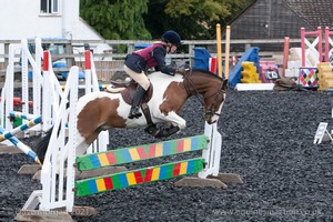 Class 5 - Fences not above 2'6